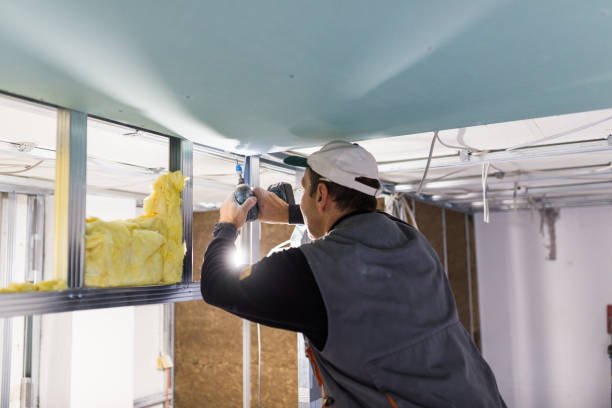 Best DIY Insulation Kits and Guidance in Gifford, FL